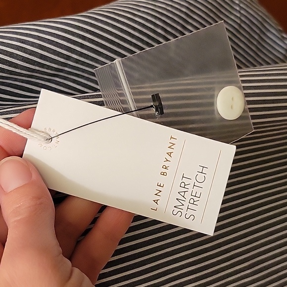 Lane Bryant "The Allie" Blue and White Striped Smart Stretch Crop Pant - size 28 - Picture 10 of 15